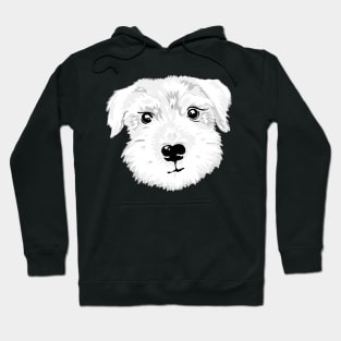 Ted the White Miniature Schnauzer puppy dog Hoodie